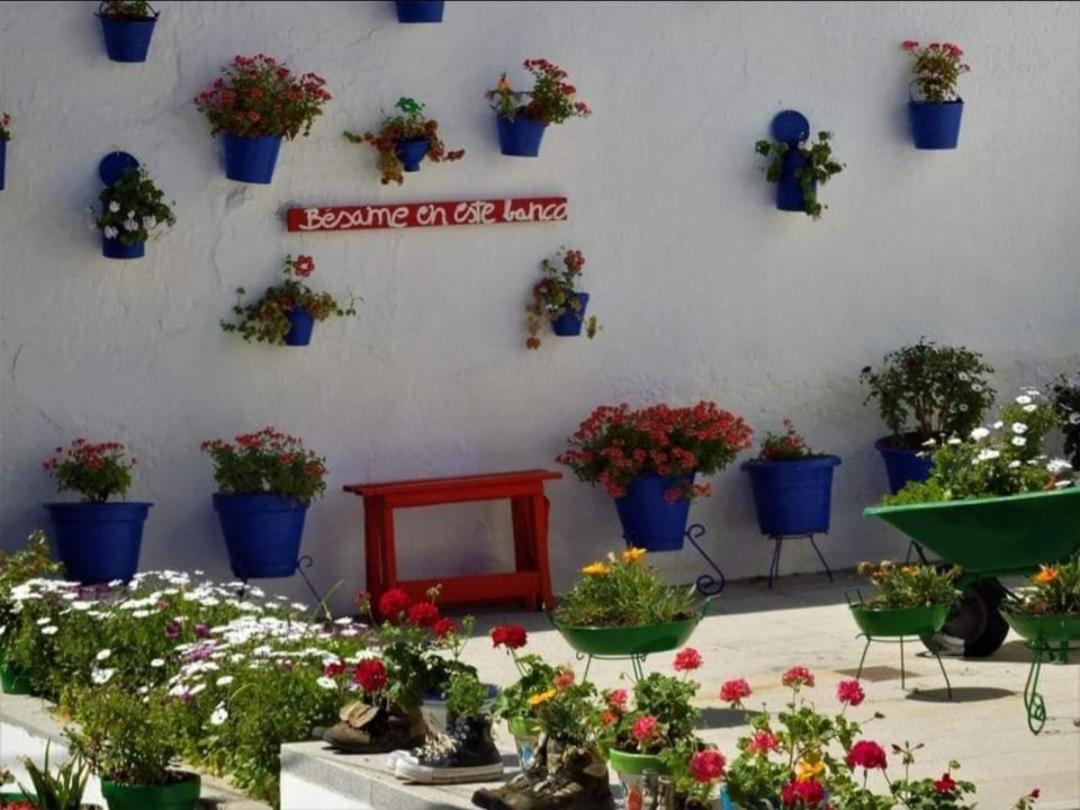 Casa Rural Camino De Los Molinos Y Su Establo La Puebla de los Infantes Zewnętrze zdjęcie