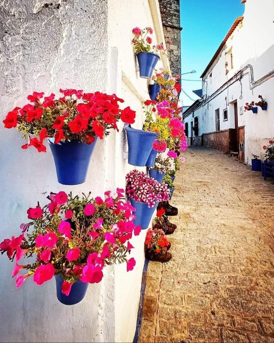 Casa Rural Camino De Los Molinos Y Su Establo La Puebla de los Infantes Zewnętrze zdjęcie